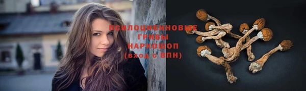 хмурый Нязепетровск
