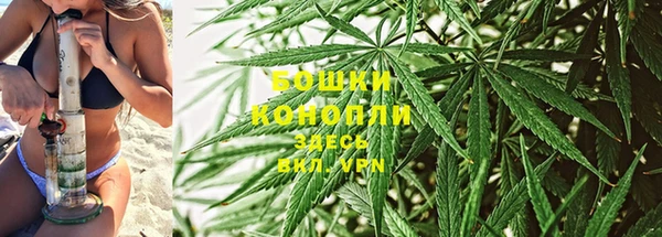 соль ск Няндома