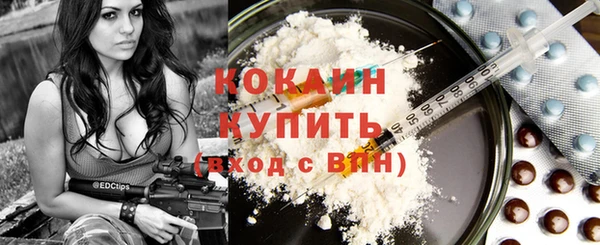 соль ск Няндома