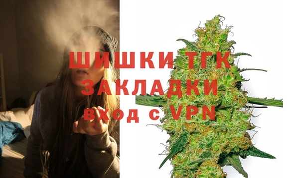 соль ск Няндома