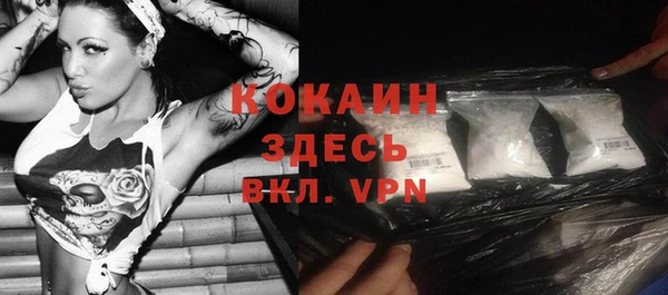 соль ск Няндома