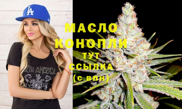 соль ск Няндома
