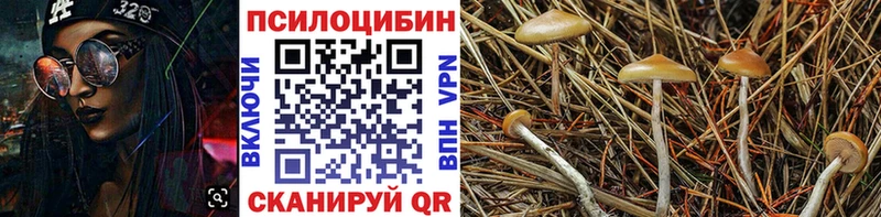 Псилоцибиновые грибы MAGIC MUSHROOMS  mega сайт  Покров 