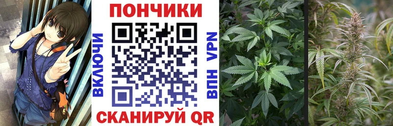 закладки kraken ТОР Марихуана MAZAR Покров